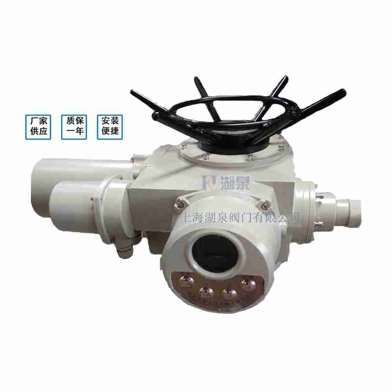 閥門電動(dòng)裝置（dzw05,10,20，30,45,60，90,12