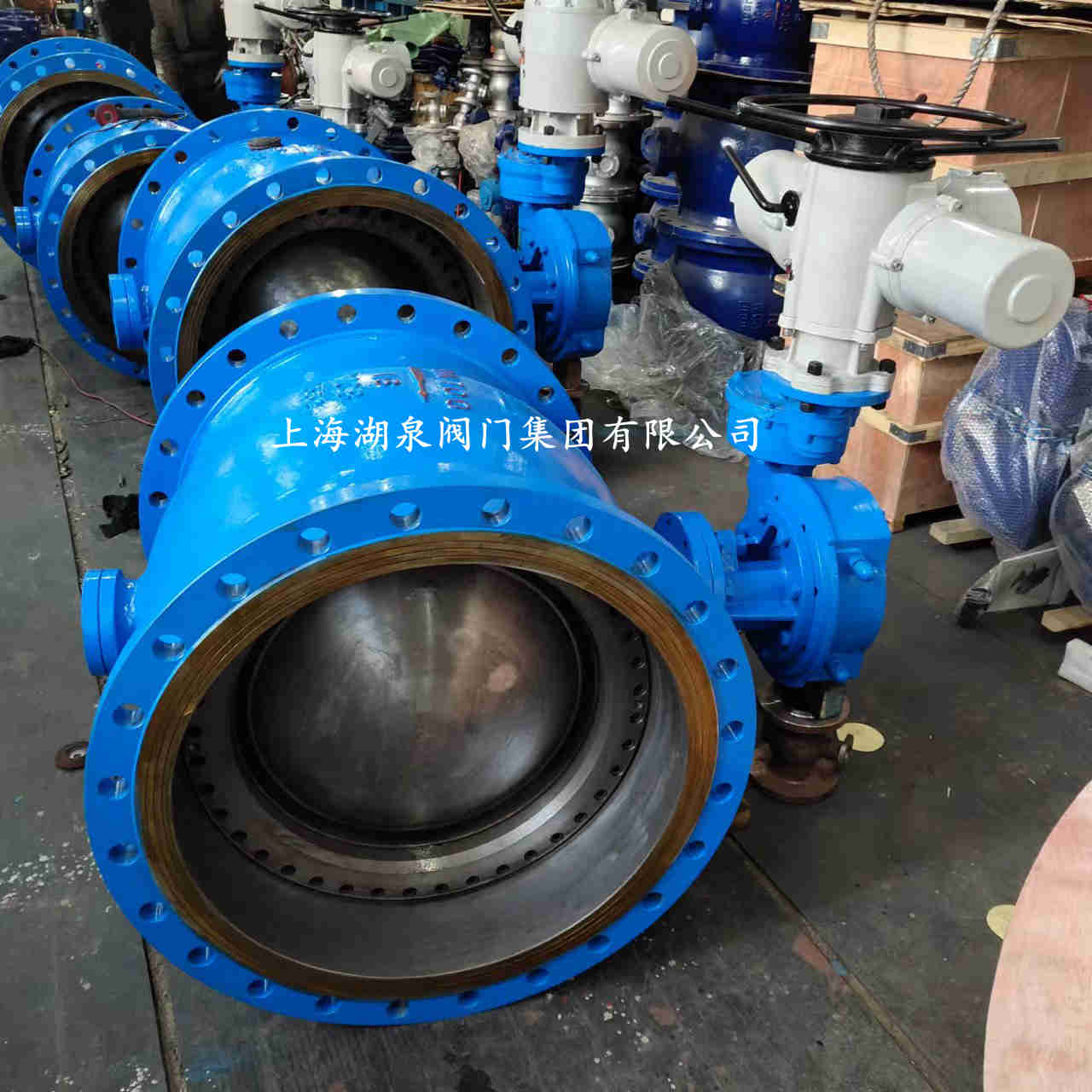  手動(dòng)大口徑偏心半球閥廠(chǎng)家