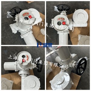 6000Nm電動(dòng)執(zhí)行器帶蝸輪減速機(jī)QDX3-7